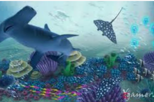 半岛星空足球app下载2024最新版